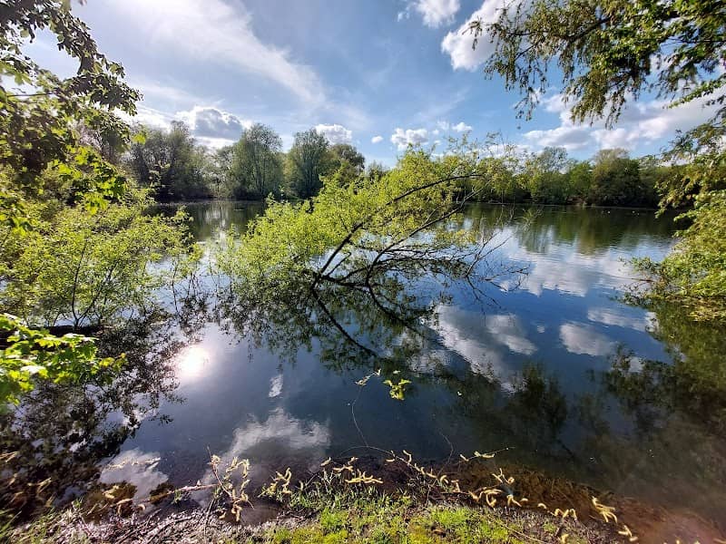 Priory Country Park - Image 1