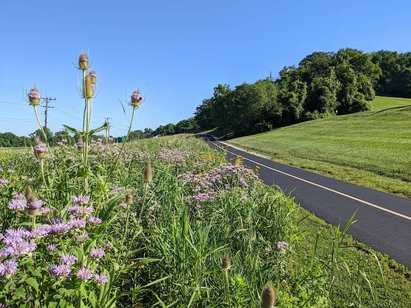 Devola Multi-Use Trail - Image 2