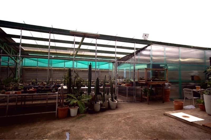 Oat&Ohm Cattery and Pottery - Image 1
