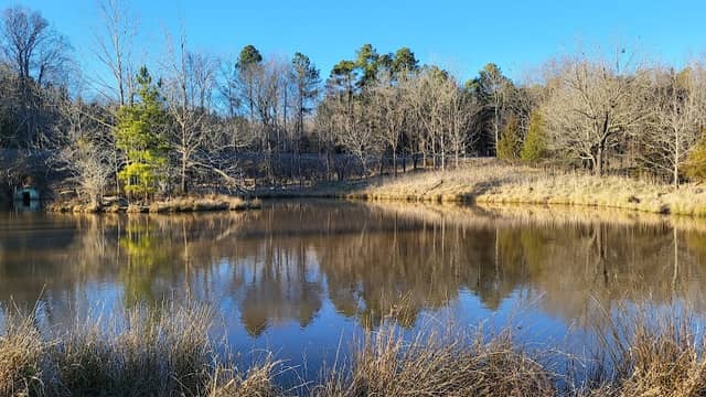 Brumley Nature Preserve North Section - Image 1