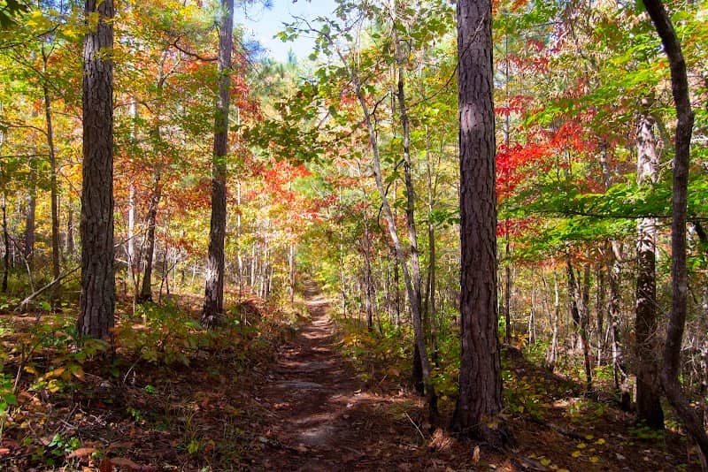Chinnabee Silent Trail Parking Lot - Image 2