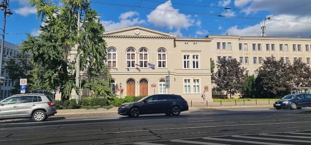 Miłorząb dwuklapowy - Image 2