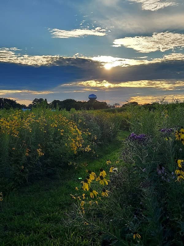 Jiri-Rita Prairie Park - Image 2