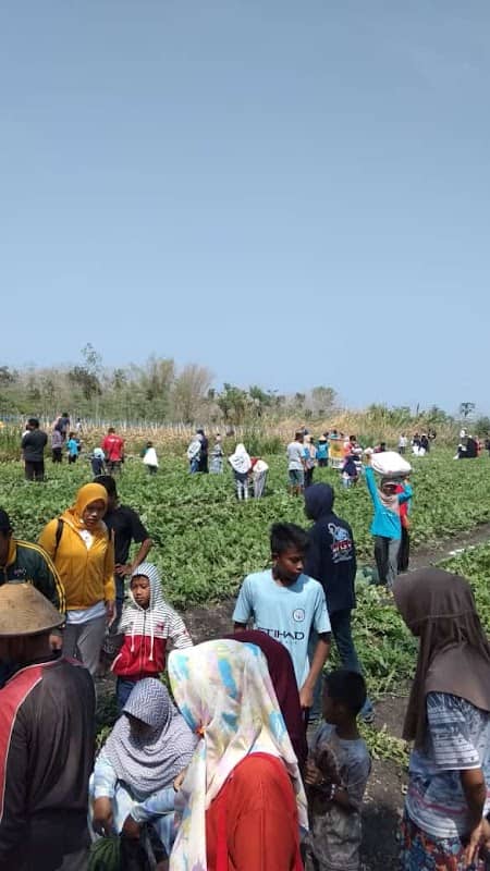 AGRO WISATA PAMPANG - Image 1
