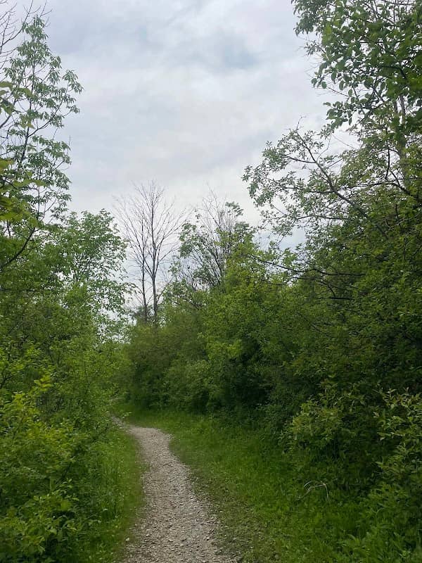 Grobschmidt Park - Image 2