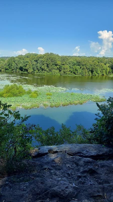 Greater Ozarks Audubon Trail - Image 1