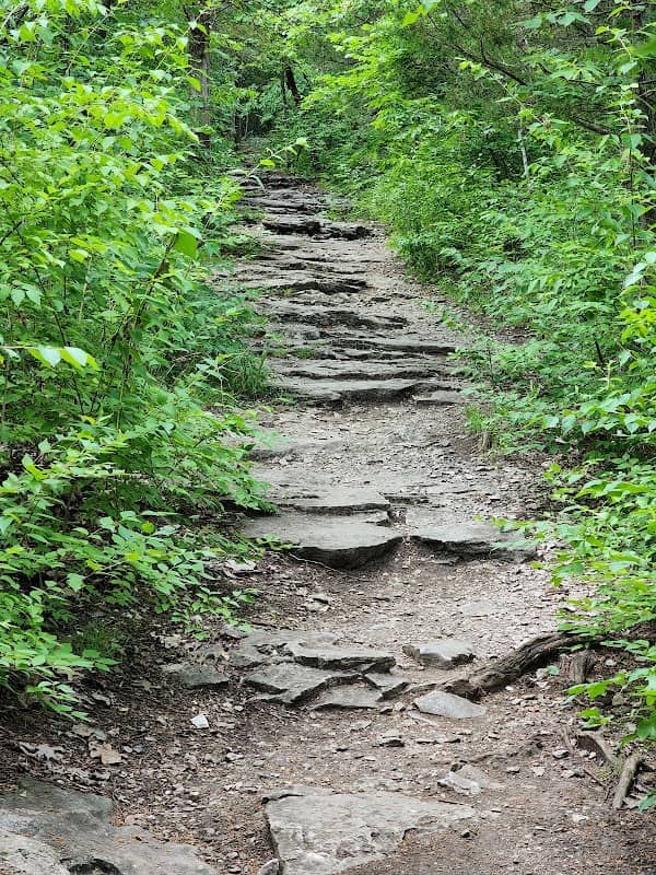 Greater Ozarks Audubon Trail - Image 2
