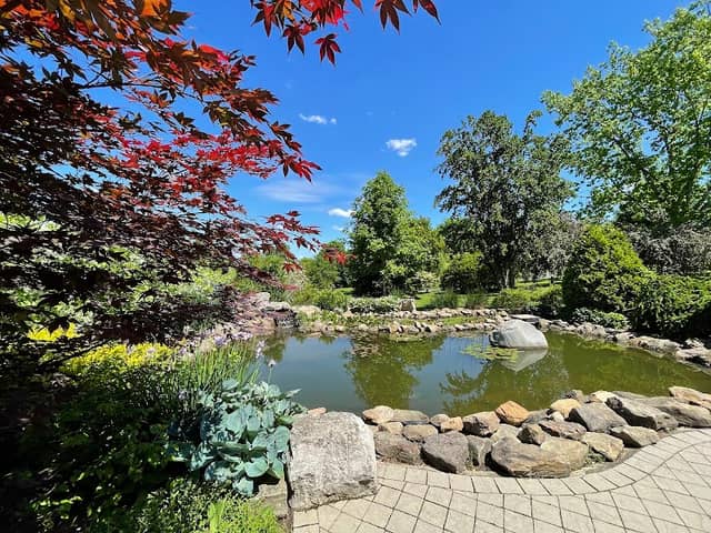 Secrest Arboretum - Image 1