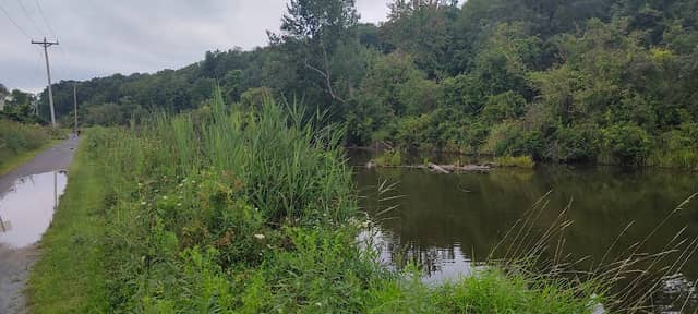 Old Champlain Canal - Image 1