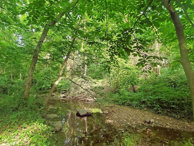Shady Creek Nature Sanctuary - Image 1