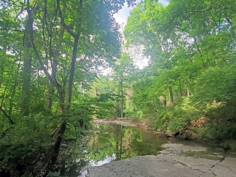 Shady Creek Nature Sanctuary - Image 2