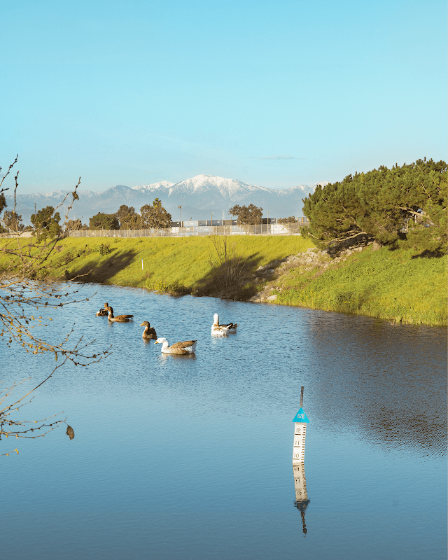 Rio Hondo Spreading Grounds - Image 1