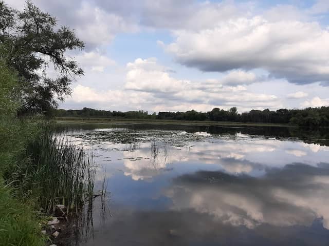 Storrs Lake Wildlife Area - Image 1