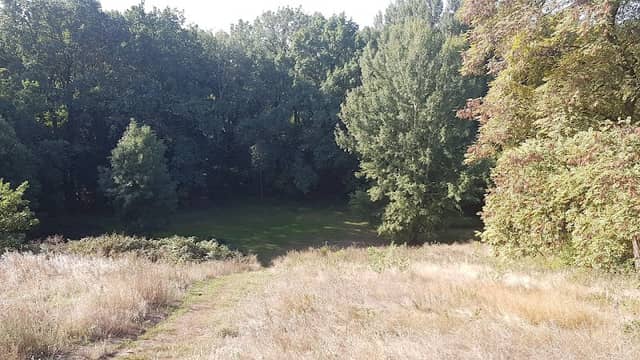 Käthe-Kollwitz Park - Image 1