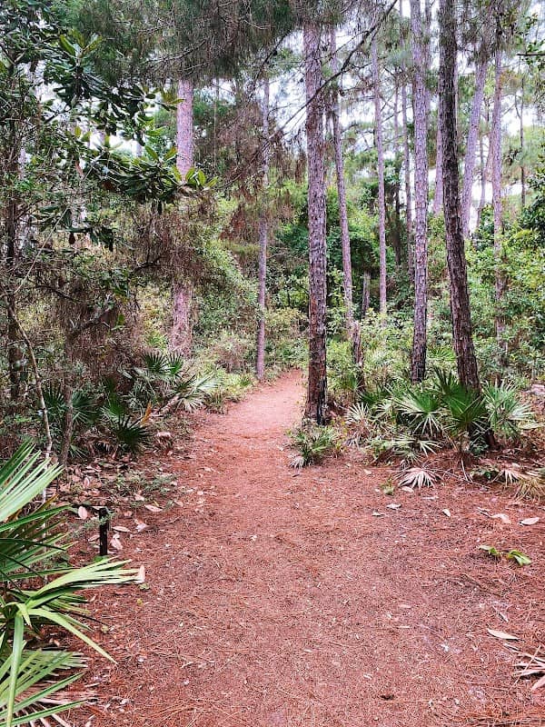 Oak Tree Nature Preserve - Image 2