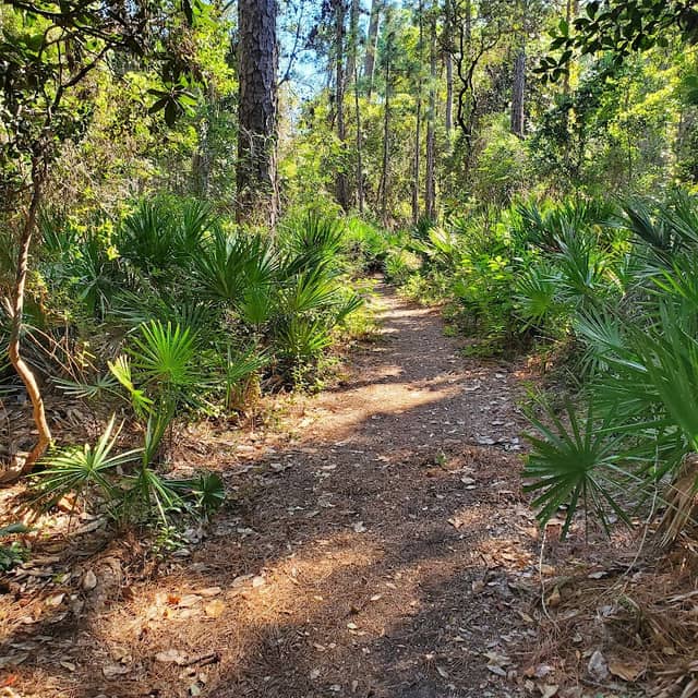 Oak Tree Nature Preserve - Image 1