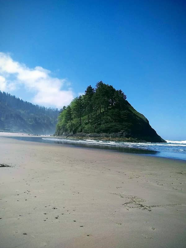 Neskowin Beach State Recreation Site - Image 1