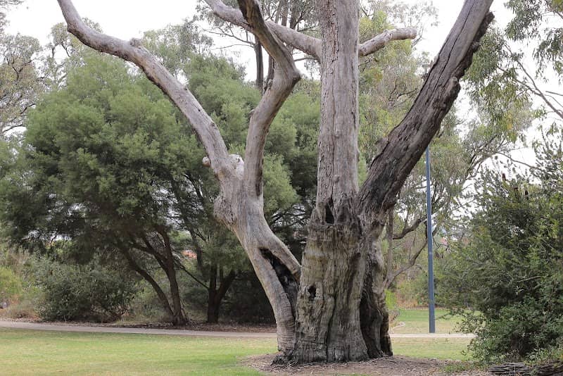 Tuart Park - Image 2