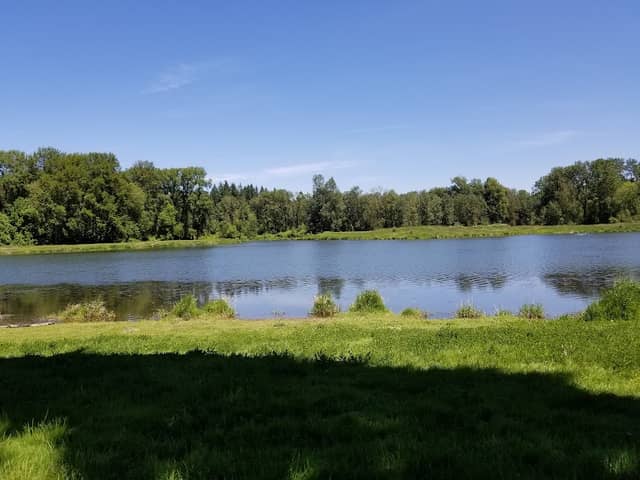 Trojan Park - Image 1
