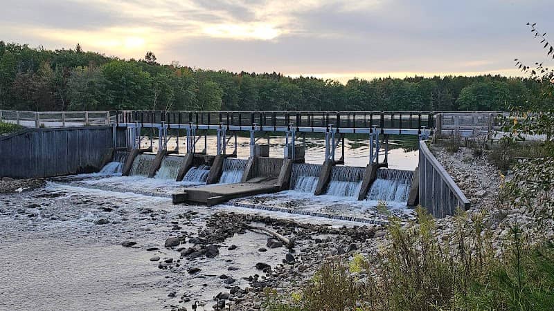 Reedsburg Dam State Forest Campground - Image 1