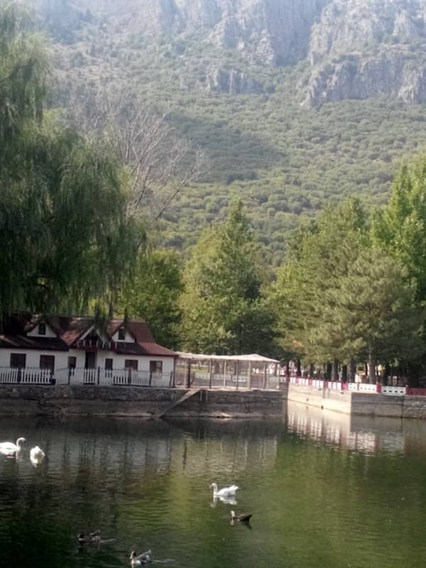 Park - Image 1