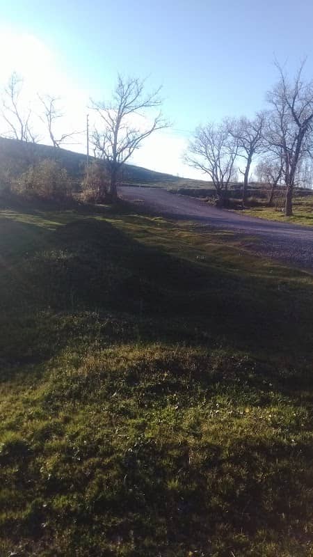 Park - Image 2