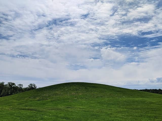 Mitchell Park - Image 1