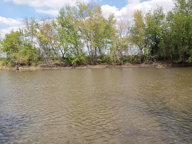 Two Rivers Forest Preserve - Image 2