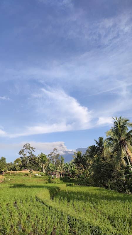 Sawah Tangah - Image 1