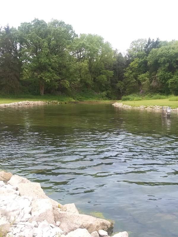 Trout Station - Image 2