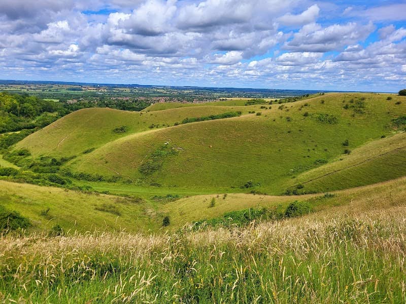 Barton Hills NNR - Image 2