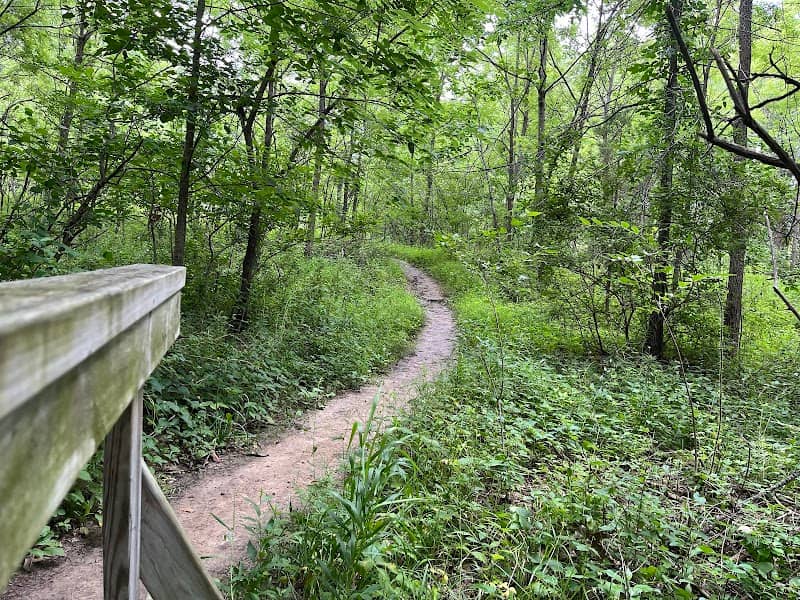 Hickory Hill Park - Image 2