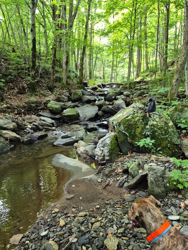 Hampton Creek Cove State Natural Area - Image 2