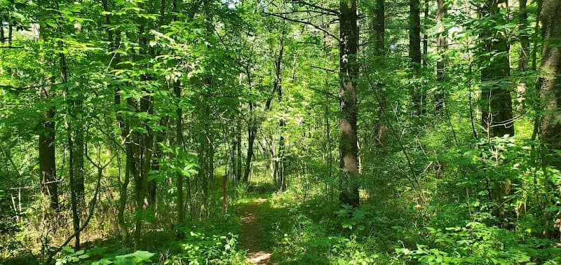Pavcek Preserve - Image 2