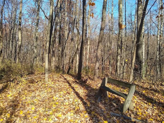 Pavcek Preserve - Image 1