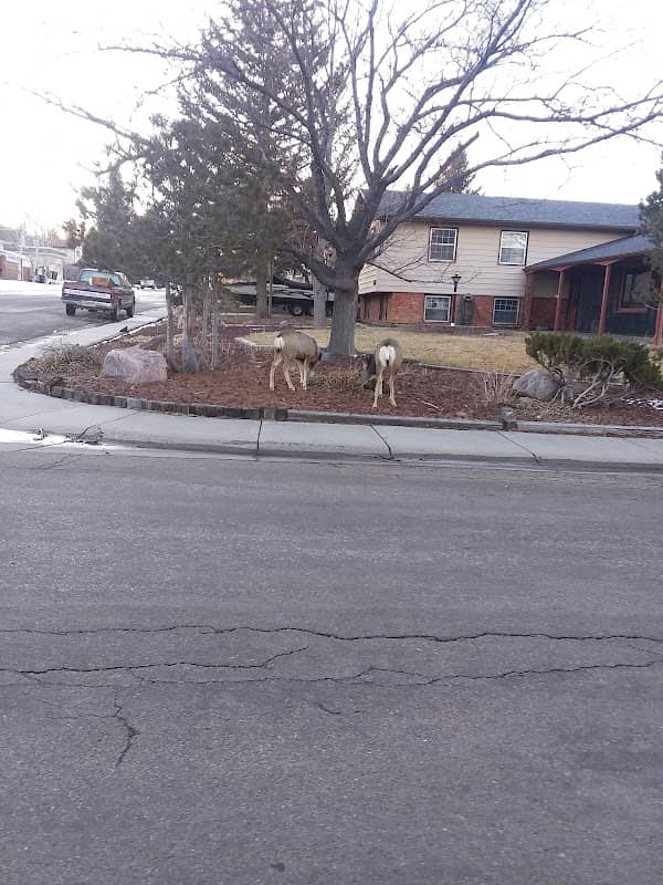 Green Meadow Park - Image 1