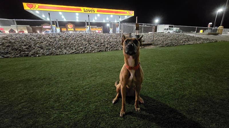 Dog Park at Love's Travel Stops - Image 1