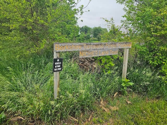 Berkshire-Tarnowski Forest Preserve - Image 1