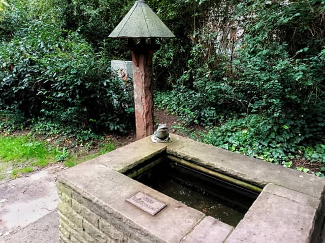 Froschbrunnen - Image 2