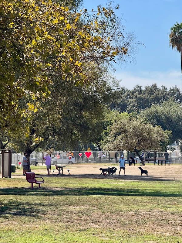 Cody Kelly Dog Bark Park - Image 2