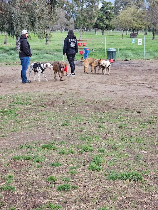 Cody Kelly Dog Bark Park - Image 1