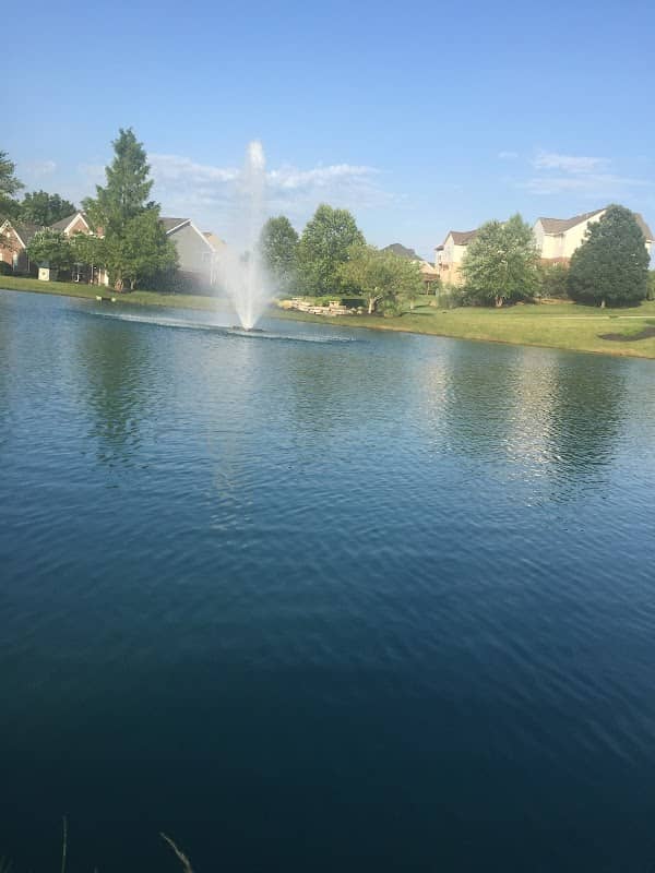 Stone Brook Fountain - Image 2