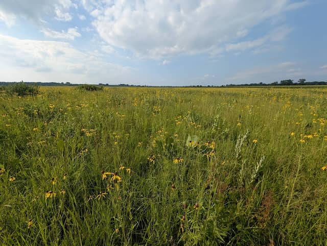 Snapper Prairie State Natural Area - Image 1