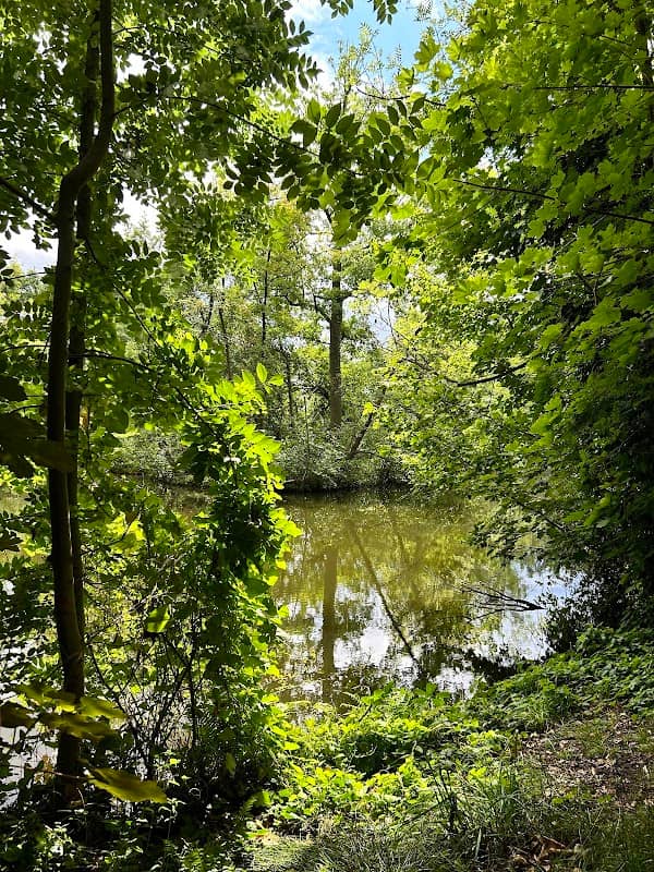 Tonteiche - Image 2