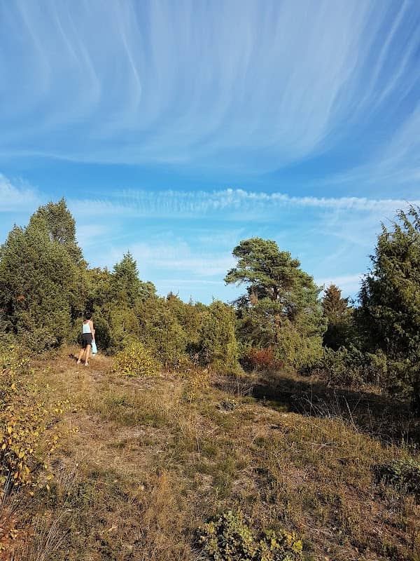 Naturdenkmal Heide - Image 1