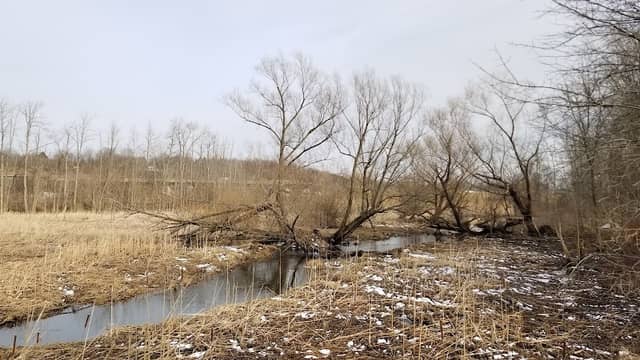 Thomas Creek Wetland Walk - Image 1