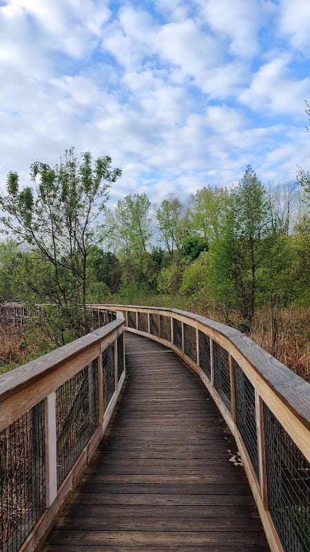 Thomas Creek Wetland Walk - Image 2