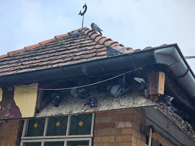 Gołębnik Spółdzielni w Swarzędzu - Image 1
