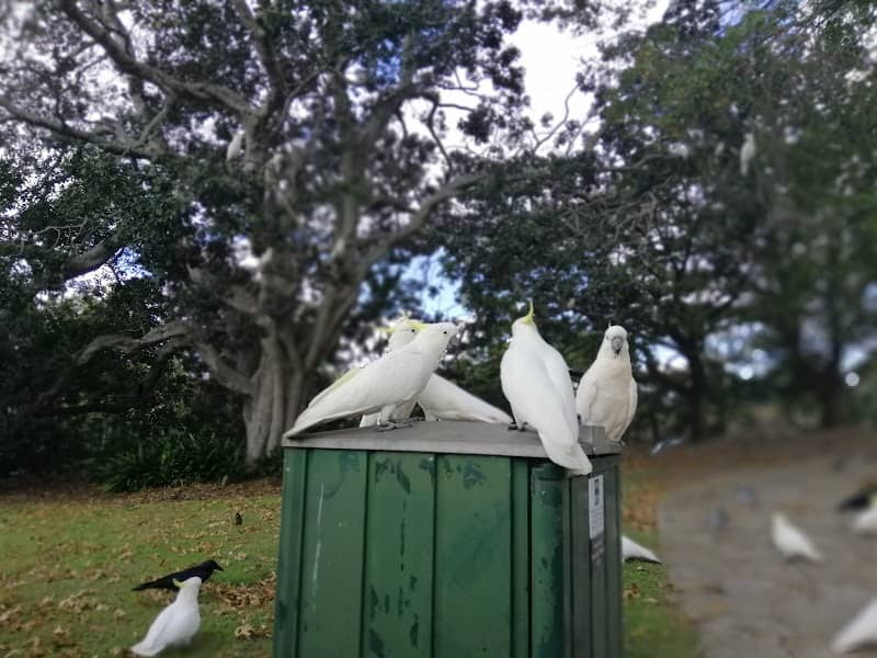 Turramurra Village Park - Image 1