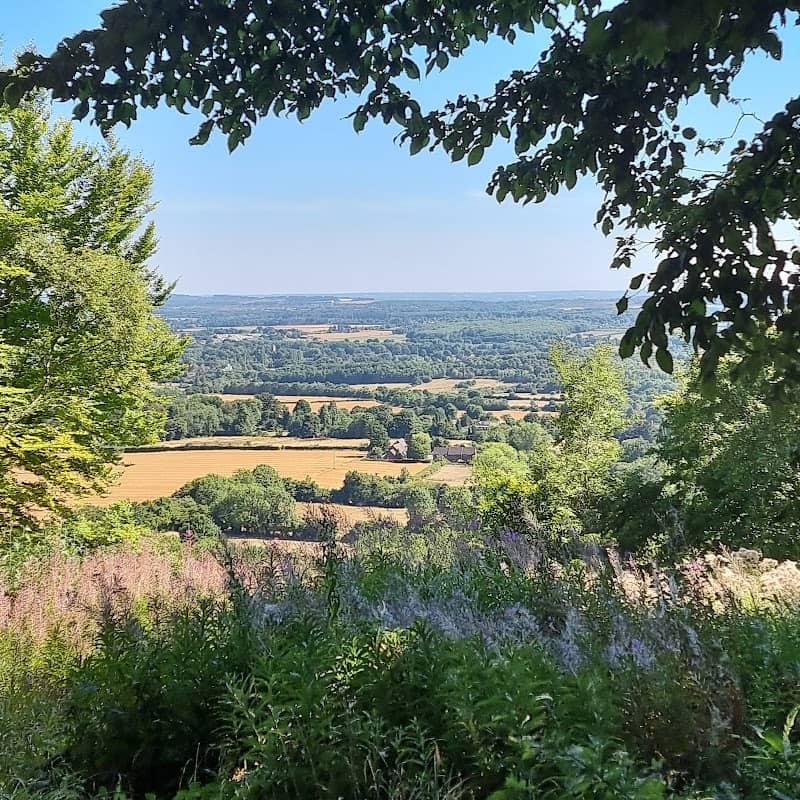 Trosley Country Park - Image 1